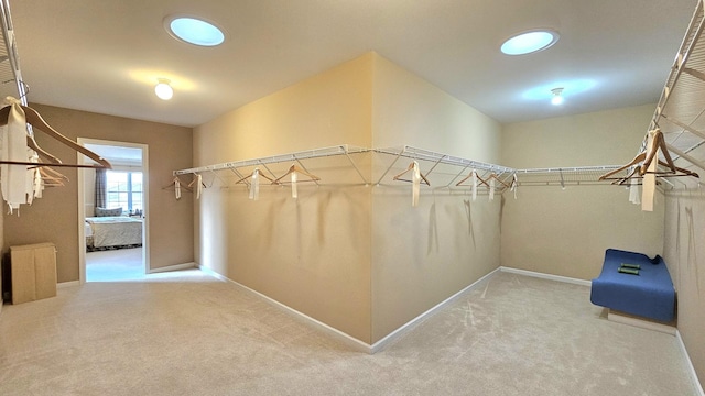 spacious closet featuring carpet