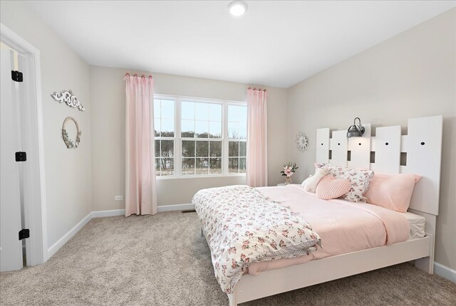 2125 Bilstone Dr, Lynwood, IL 60411 - photo 14