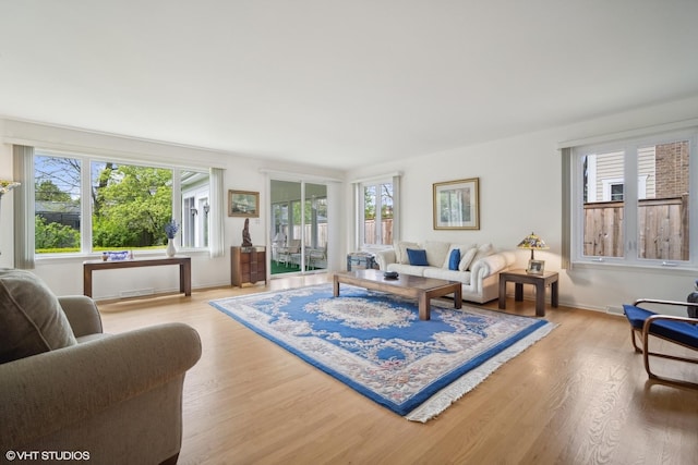 living room with hardwood / wood-style flooring