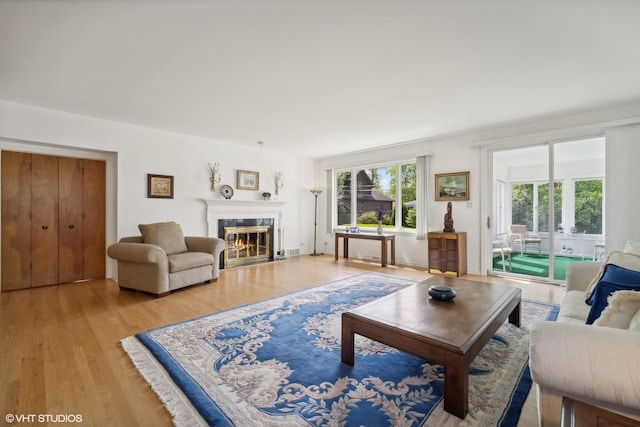 living room with light hardwood / wood-style floors