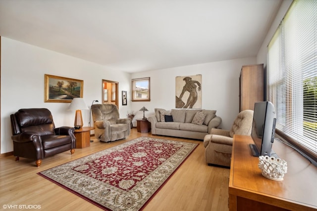 living room with hardwood / wood-style floors and plenty of natural light