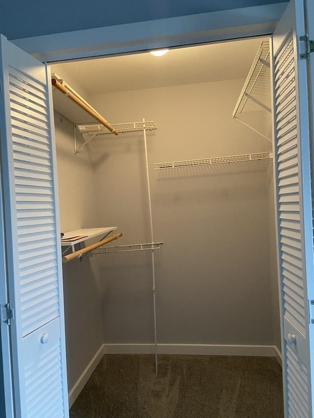 walk in closet with dark colored carpet