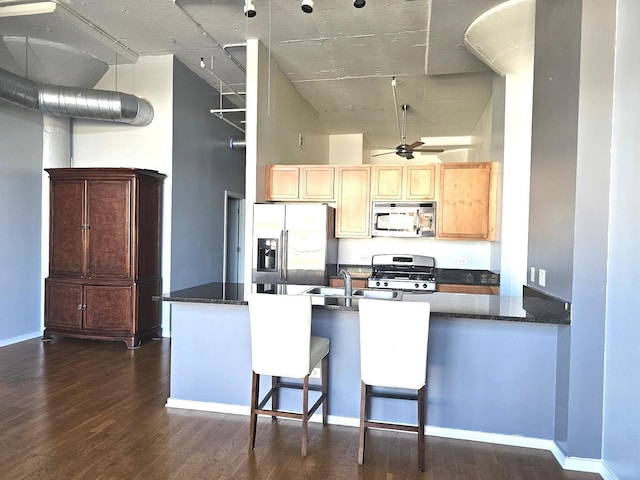 kitchen with kitchen peninsula, dark hardwood / wood-style flooring, and stainless steel appliances