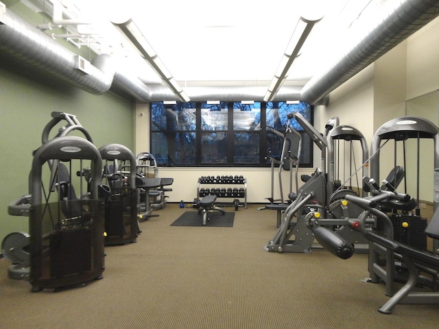 exercise room featuring carpet flooring