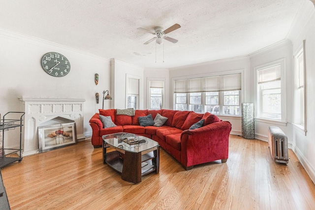 living room featuring ornamental molding, a textured ceiling, ceiling fan, hardwood / wood-style flooring, and radiator heating unit