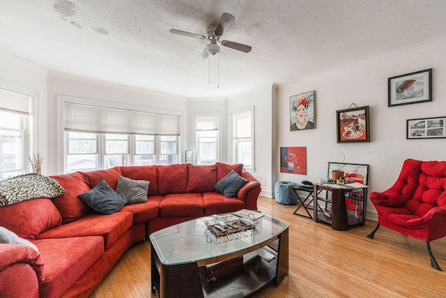 living room with wood-type flooring, a textured ceiling, ceiling fan, and a healthy amount of sunlight