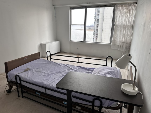 bedroom featuring a water view