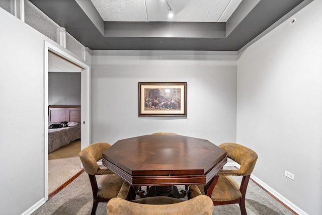 dining room with a tray ceiling, light carpet, and a textured ceiling