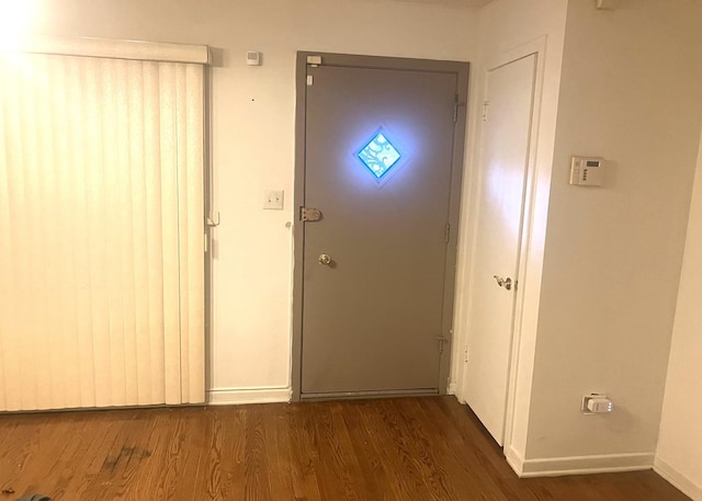 entrance foyer with dark wood-type flooring