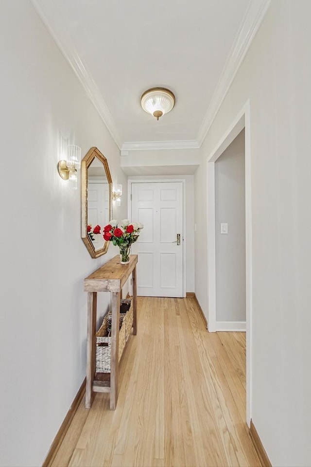 interior space featuring light hardwood / wood-style floors and crown molding