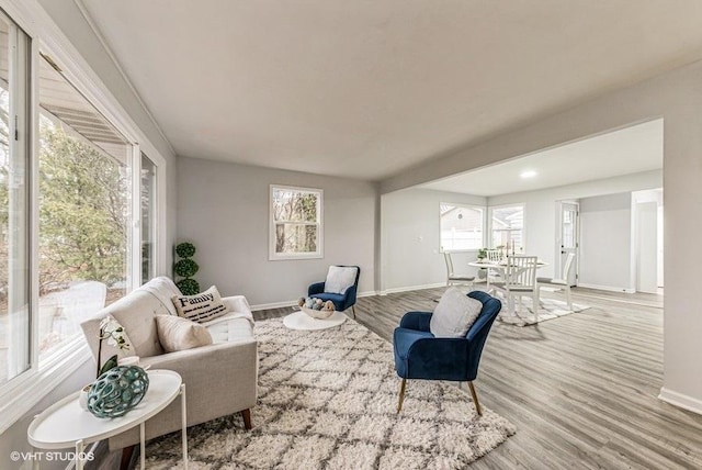 living room with light hardwood / wood-style flooring