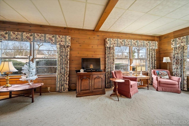 living room featuring wood walls and carpet floors