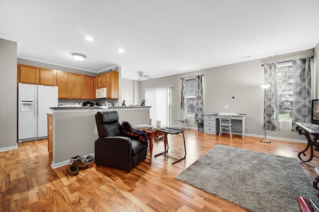 living room featuring ceiling fan and light hardwood / wood-style flooring