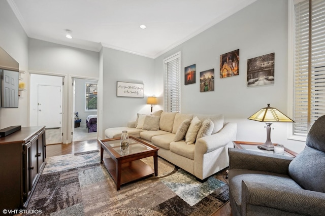 living room featuring hardwood / wood-style flooring and crown molding