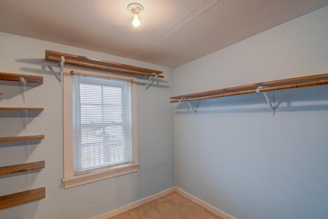 walk in closet featuring light carpet