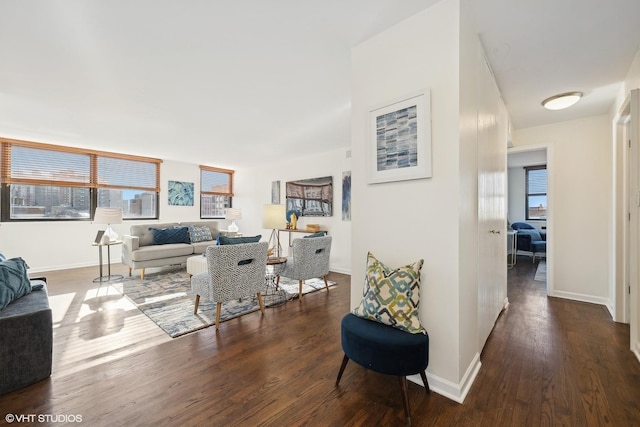 living room with dark wood-type flooring