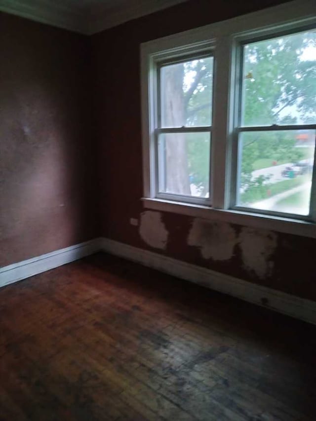 empty room with hardwood / wood-style flooring