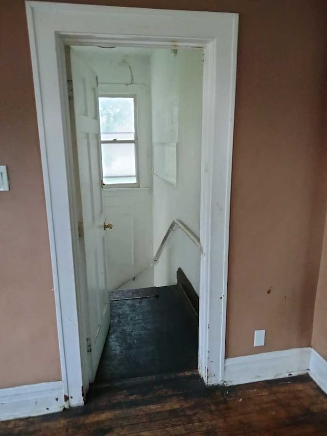 hall featuring dark hardwood / wood-style flooring