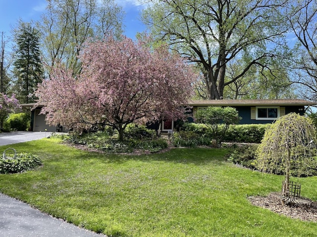 view of yard with a garage