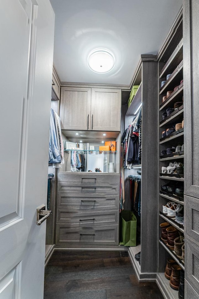 spacious closet with dark hardwood / wood-style flooring