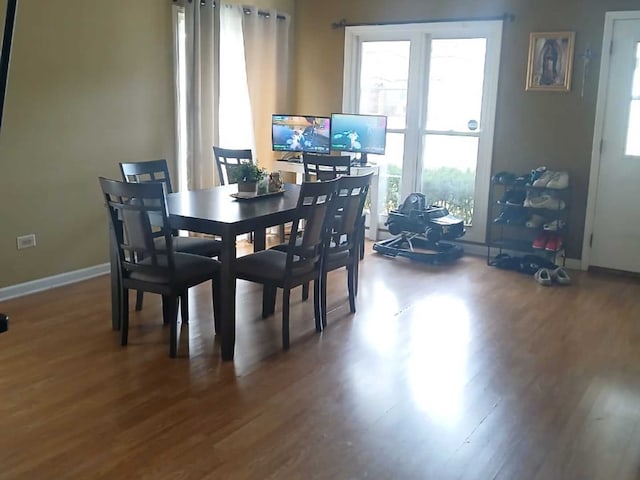 dining space featuring hardwood / wood-style floors