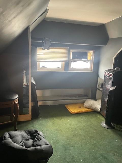 additional living space featuring carpet floors and lofted ceiling