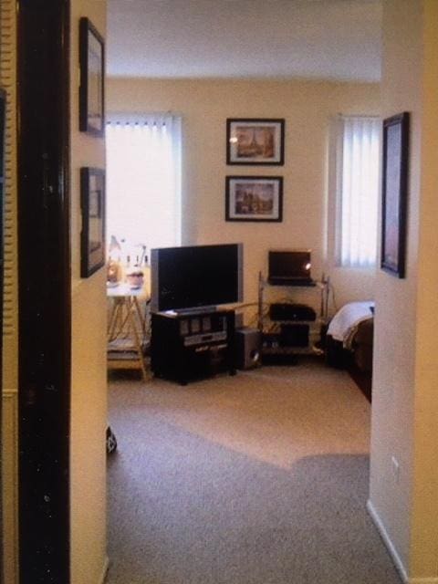 interior space featuring multiple windows and carpet flooring