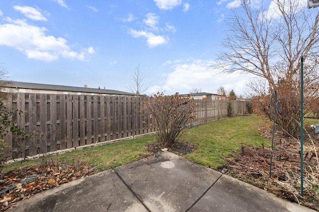 view of yard featuring a patio area