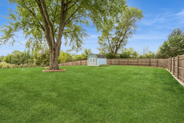 view of yard with a storage shed