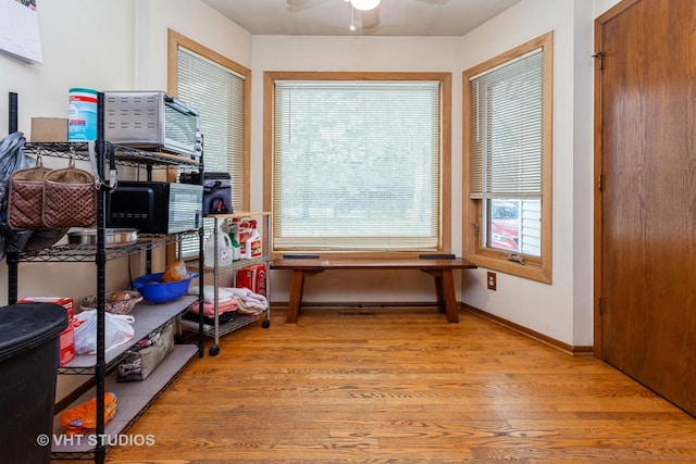 storage room featuring ceiling fan