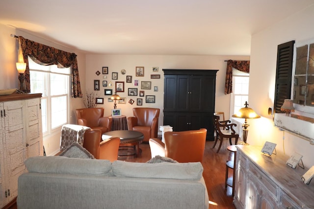 living room with dark wood-type flooring and a healthy amount of sunlight