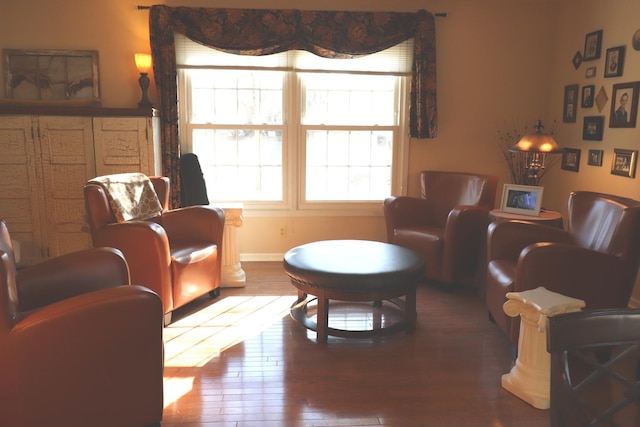 interior space featuring wood-type flooring