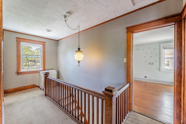 hallway with a textured ceiling, light colored carpet, and crown molding