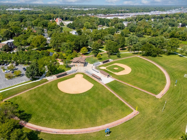 aerial view