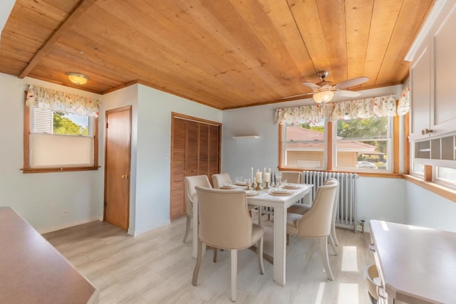 dining space featuring ceiling fan, wood ceiling, radiator, and light hardwood / wood-style flooring