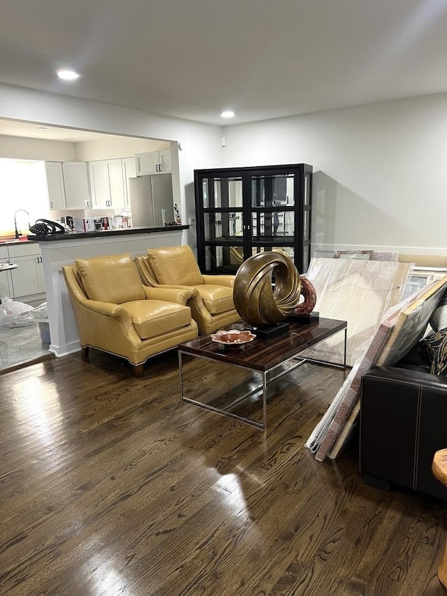 living room with dark hardwood / wood-style flooring and sink