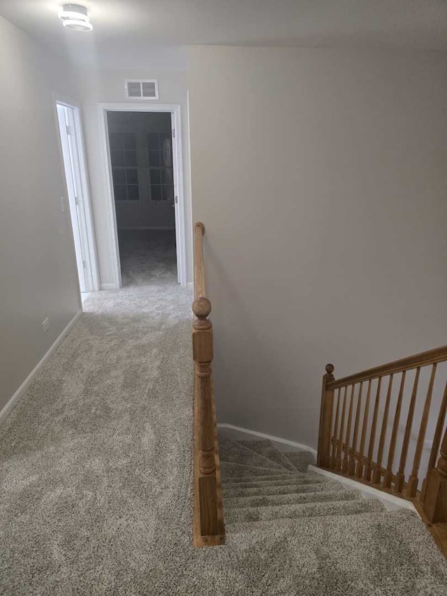 stairs featuring carpet flooring