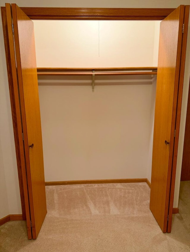 view of closet