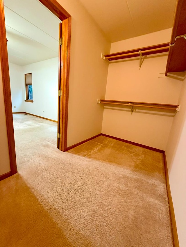 walk in closet featuring light colored carpet