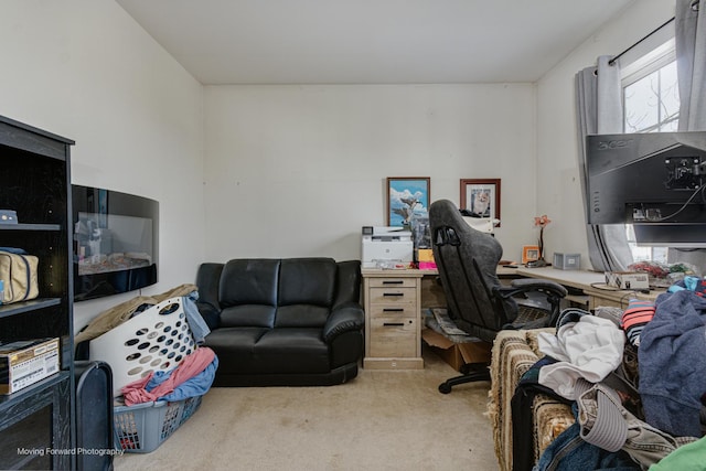 view of carpeted home office