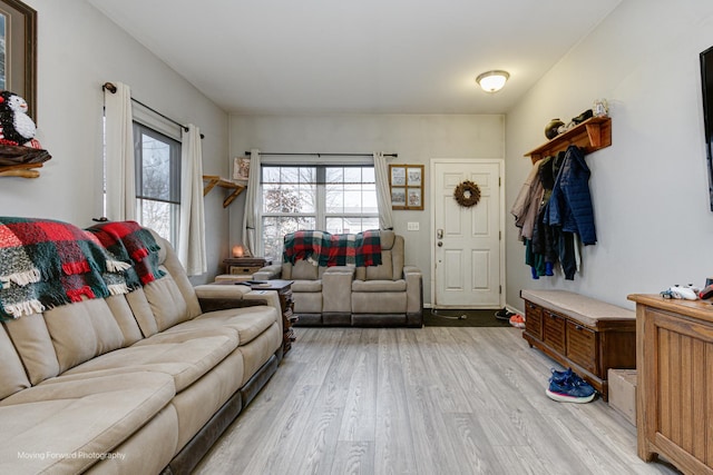 living room with light wood-type flooring