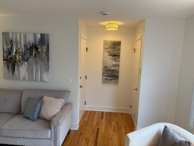 hallway featuring wood-type flooring