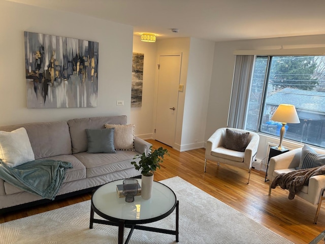 living room with hardwood / wood-style flooring