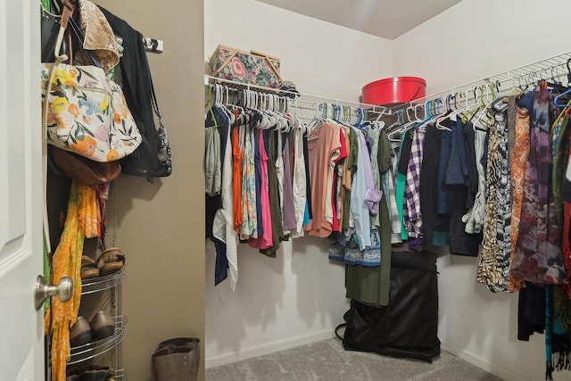 spacious closet with carpet