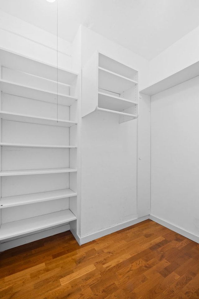 spacious closet with hardwood / wood-style floors