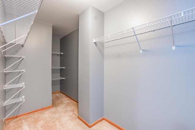 walk in closet featuring light colored carpet