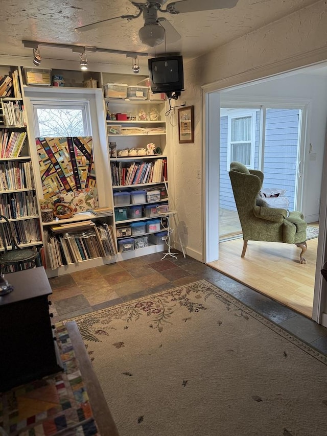 interior space featuring ceiling fan and dark hardwood / wood-style floors