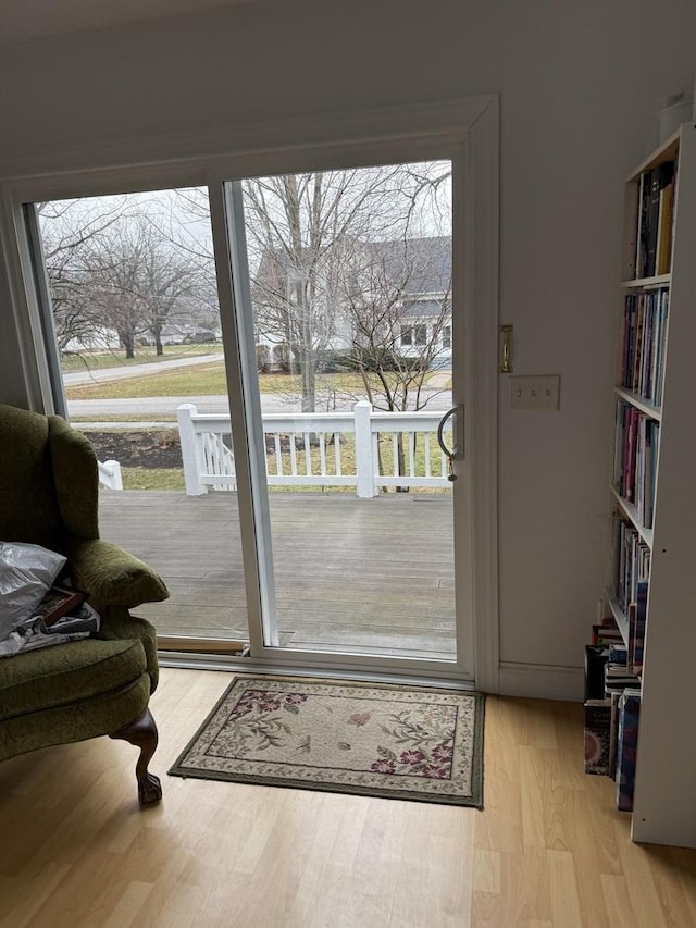 doorway to outside featuring light wood-type flooring