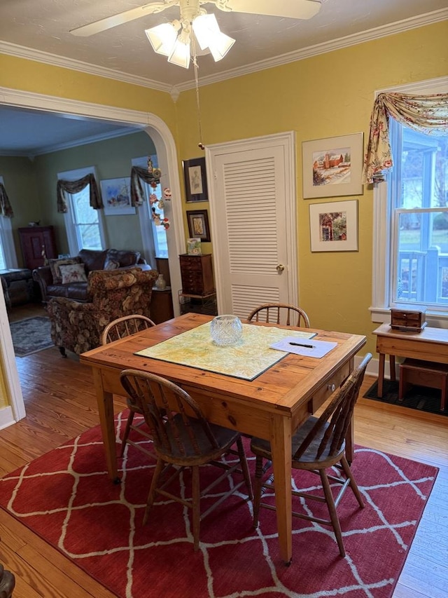 dining space featuring hardwood / wood-style floors, ceiling fan, and crown molding