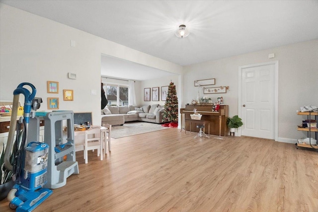 living room featuring light hardwood / wood-style floors